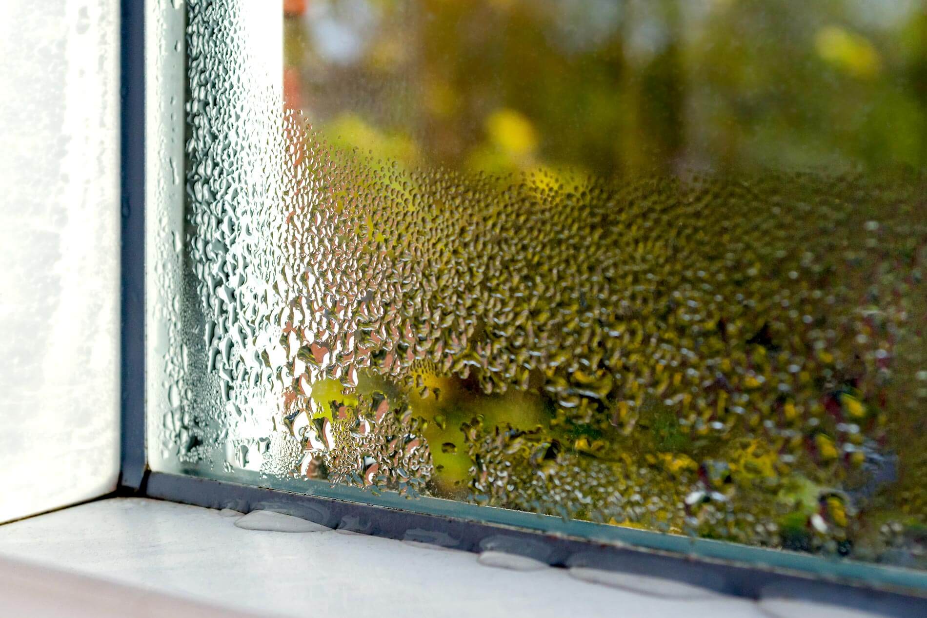 Window Repairs  Kingsbridge